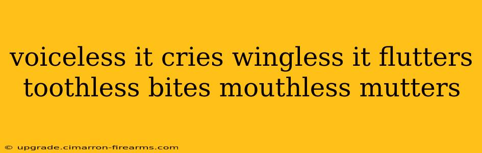 voiceless it cries wingless it flutters toothless bites mouthless mutters