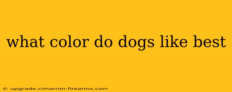 what color do dogs like best