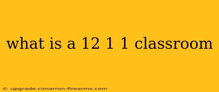 what is a 12 1 1 classroom