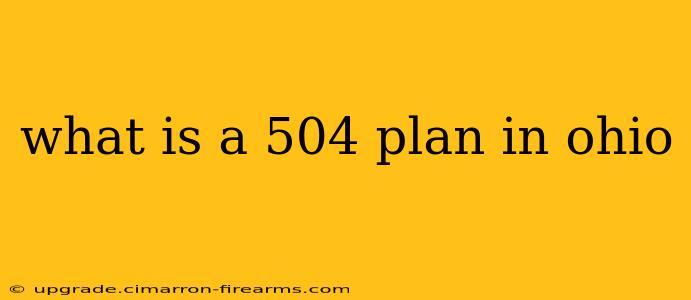 what is a 504 plan in ohio