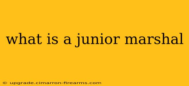 what is a junior marshal