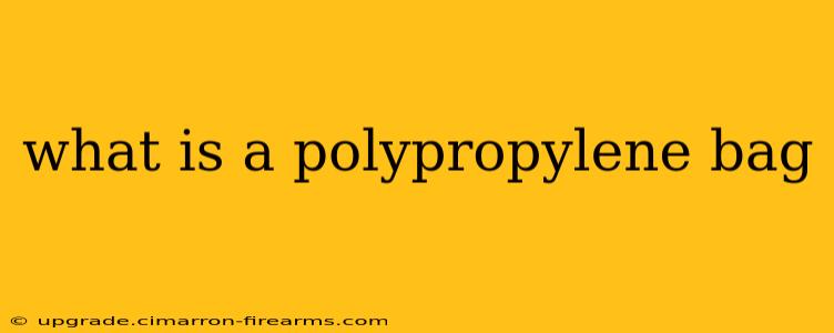 what is a polypropylene bag