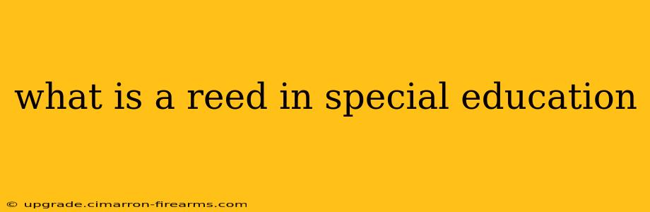 what is a reed in special education