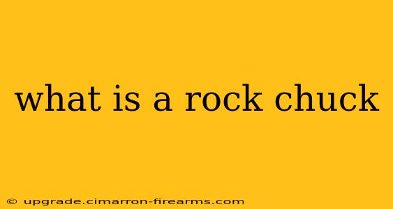 what is a rock chuck