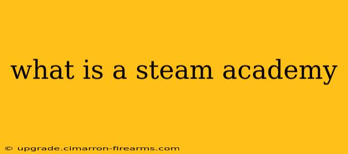 what is a steam academy