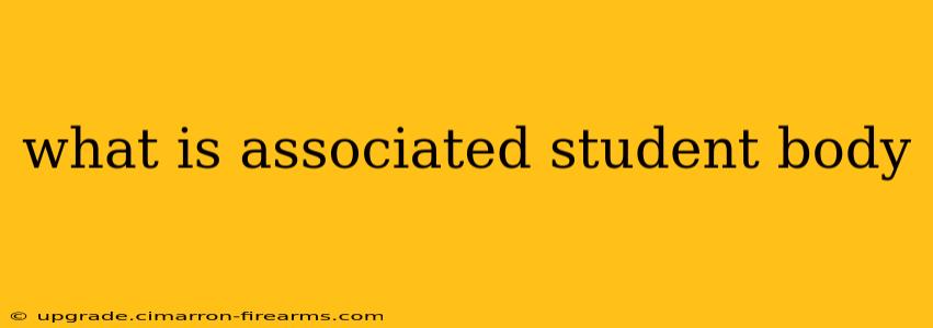 what is associated student body