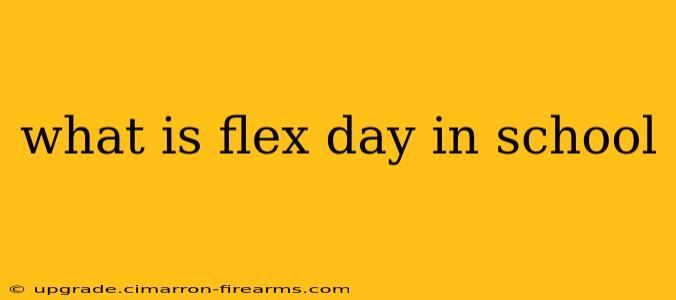 what is flex day in school