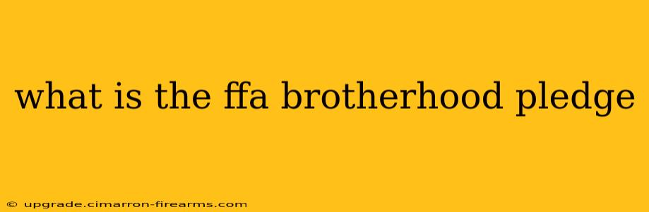 what is the ffa brotherhood pledge