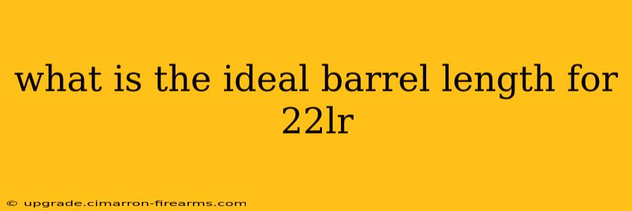 what is the ideal barrel length for 22lr