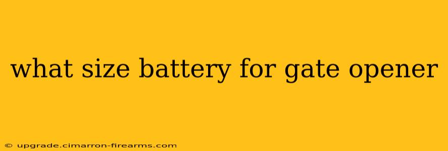 what size battery for gate opener