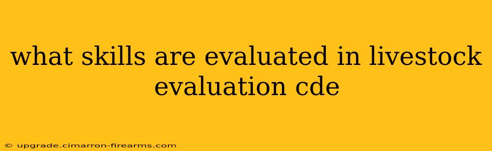 what skills are evaluated in livestock evaluation cde