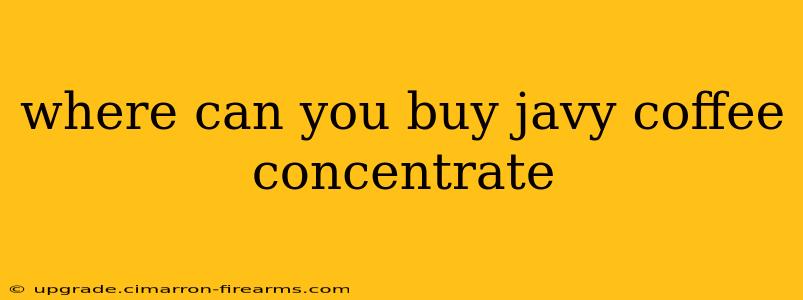 where can you buy javy coffee concentrate