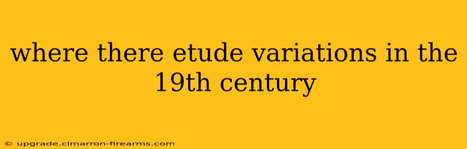 where there etude variations in the 19th century