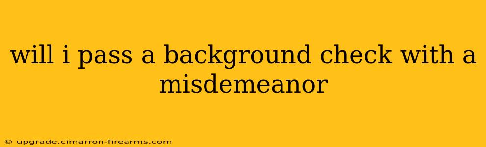 will i pass a background check with a misdemeanor