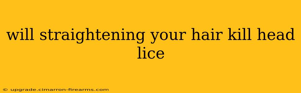 will straightening your hair kill head lice