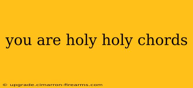 you are holy holy chords