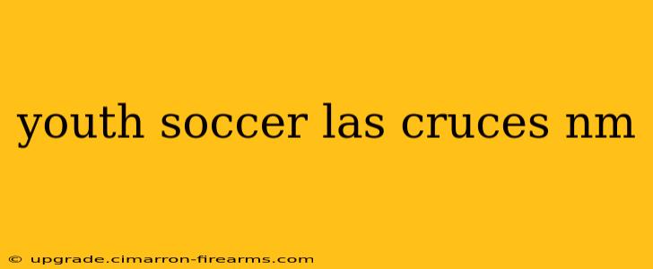 youth soccer las cruces nm